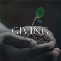 Money and Giving